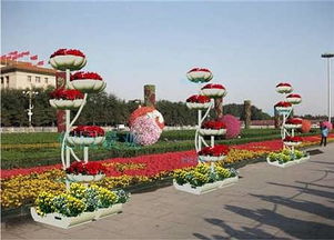 北京创园景观,收费站绿化铁艺花架,铁艺花架批发